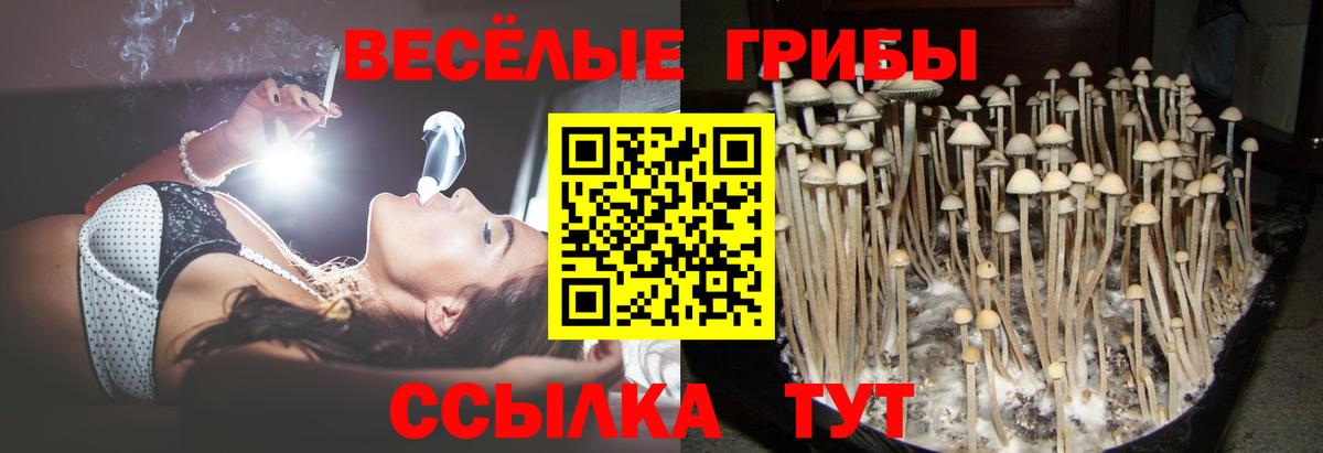 Крымск  дарнет шоп  Вход с VPN  Псилоцибиновые грибы MAGIC MUSHROOMS 